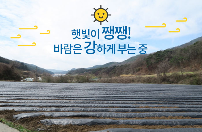 자생한방병원 6시 내고향 떴다! 내고향 닥터 이미지-10