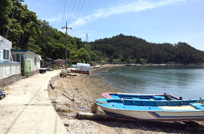 자생한방병원 6시 내고향 떴다! 내고향 닥터 이미지-6