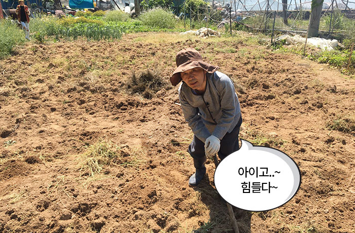 자생한방병원 6시 내고향 떴다! 내고향 닥터 이미지-11