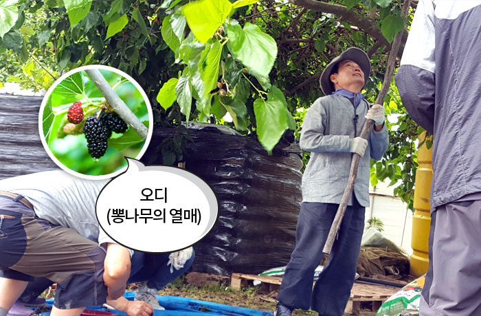 자생한방병원 6시 내고향 떴다! 내고향 닥터 비하인드 스토리-07