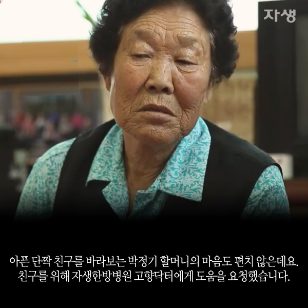 자생한방병원 6시 내고향 떴다! 내고향 닥터 고향스토리 에피소드 2 - 감곡마을 단짝 할매 08