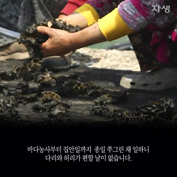 자생한방병원 6시 내고향 떴다! 내고향 닥터 고향스토리 에피소드 3 - 초완도 부부의 섬집 이야기 07