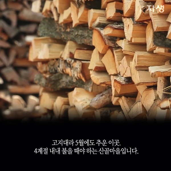 자생한방병원 6시 내고향 떴다! 내고향 닥터 고향스토리 에피소드 4 - 정선 산골 노부부가 사는 법 03