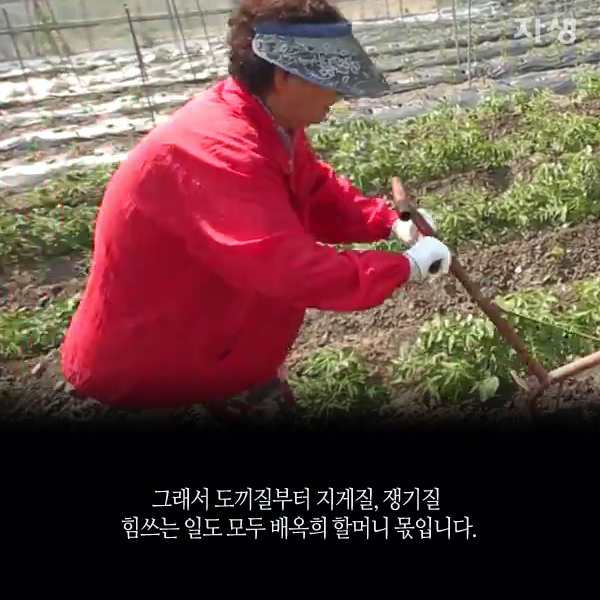 자생한방병원 6시 내고향 떴다! 내고향 닥터 고향스토리 에피소드 4 - 정선 산골 노부부가 사는 법 07