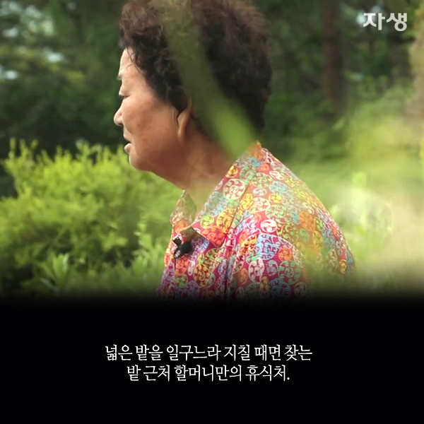 자생한방병원 6시 내고향 떴다! 내고향 닥터 고향스토리 에피소드 4 - 정선 산골 노부부가 사는 법 08