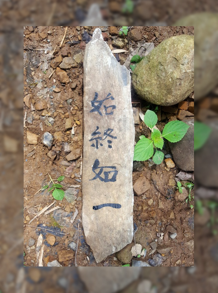 자생한방병원 6시 내고향 떴다! 내고향 닥터 비하인드 스토리9-10