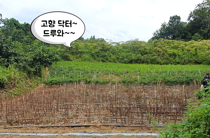 자생한방병원 6시 내고향 떴다! 내고향 닥터 비하인드 스토리10-09