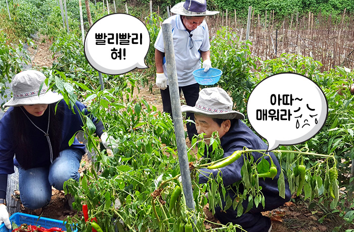 자생한방병원 6시 내고향 떴다! 내고향 닥터 비하인드 스토리10-10