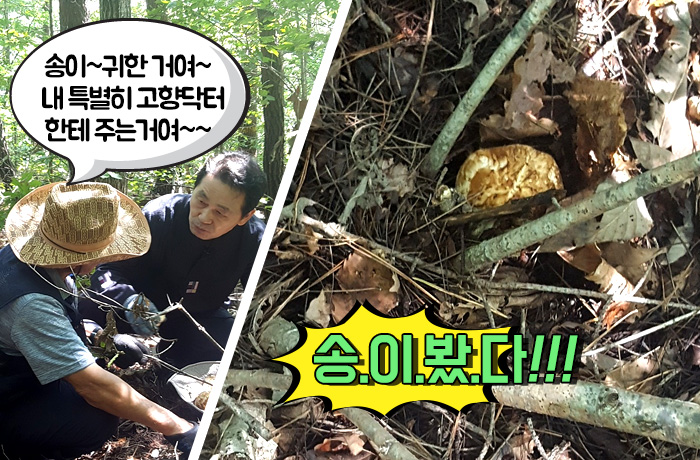 자생한방병원 6시 내고향 떴다! 내고향 닥터 비하인드 스토리11-06