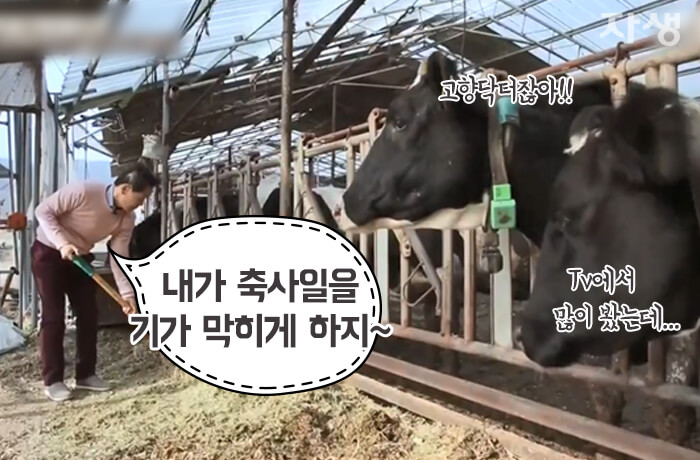 자생의료재단 자생한방병원 별다방! 별걸 다 해주는 고향닥터05_13