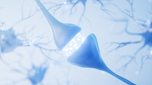 부족한 몸의 진액