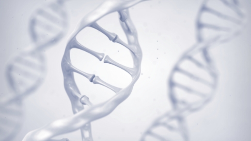 선천적 고관절 어긋남