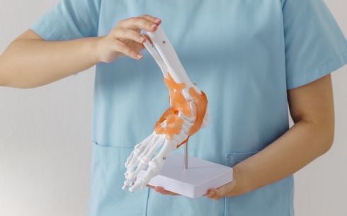 관절 모형을 이용해 치료 과정을 설명하는 모습