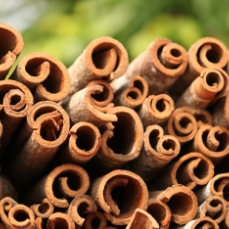 우슬, 두충, 방풍 등 고품질 약재